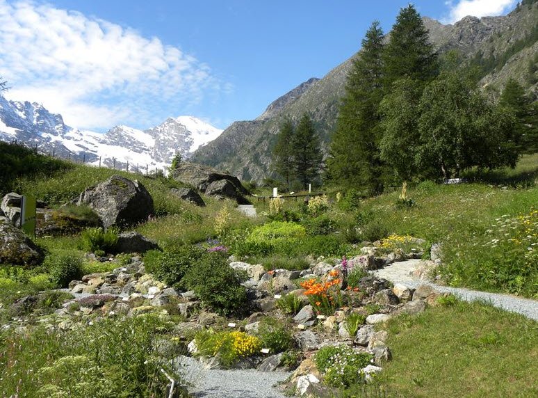 Giardino Botanico Alpino Paradisia, Italy